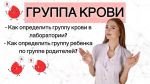 ГРУППЫ КРОВИ. Как определить?