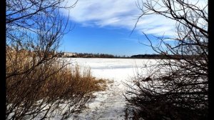 А  Ахматова  Ничего не скажу, ничего не открою #стихиолюбви #поэтысеребряноговека