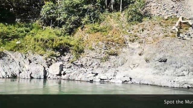 Part 2 - Discover Bhutan through the eyes of a local: Manas National Park, a Wildlife Sanctuary смотреть онлайн