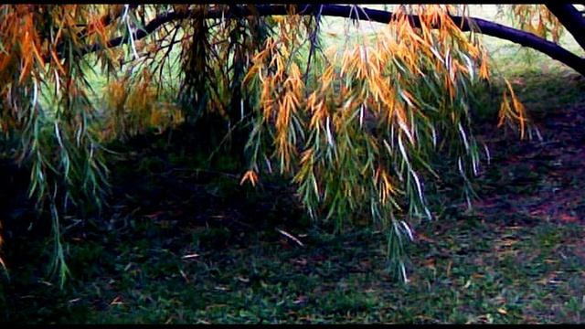 Н Некрасов  Внимая ужасам войны    1855 г #поэзия19века #стихиовойне