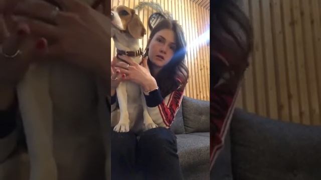 Видео-отзыв, курс "Собака: инструкция по применению", 3 поток, Катя смотреть онлайн