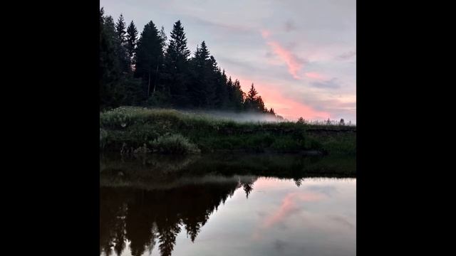 Мирра Лохвицкая  Что я люблю  #поэтыСеребряноговека