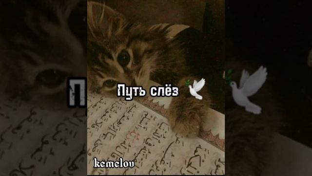 Nasheed-Нашид путь слëз- путь покоя