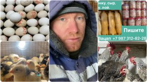 Это вы виноваты в морозах! Кто не выкинул ёлку?