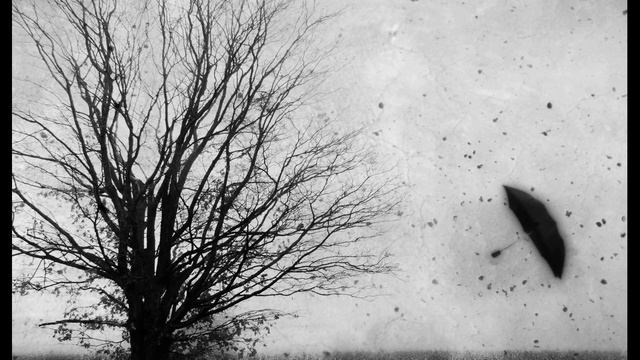 И  Бродский  При слове «грядущее» из русского языка… #философскаялирика #поэты20века