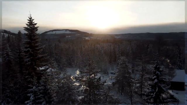 Voyage en Laponie suédoise chez des mushers 🐾🇸🇪 смотреть онлайн