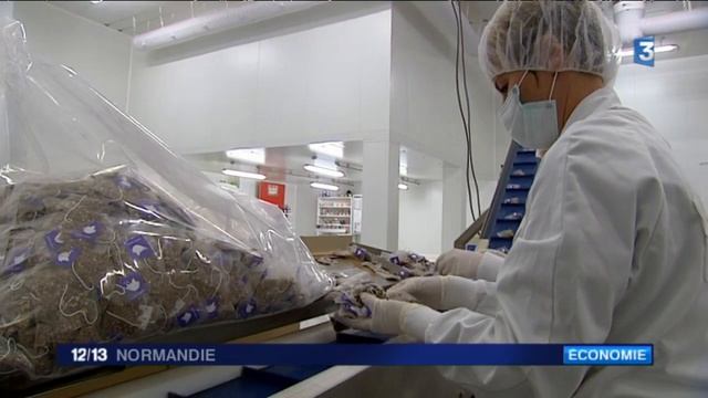 Kusmi Tea : un produit "made in Normandie" смотреть онлайн