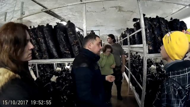 Грибная ферма смотреть онлайн