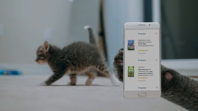 Что общего? Лужа. OZON смотреть онлайн