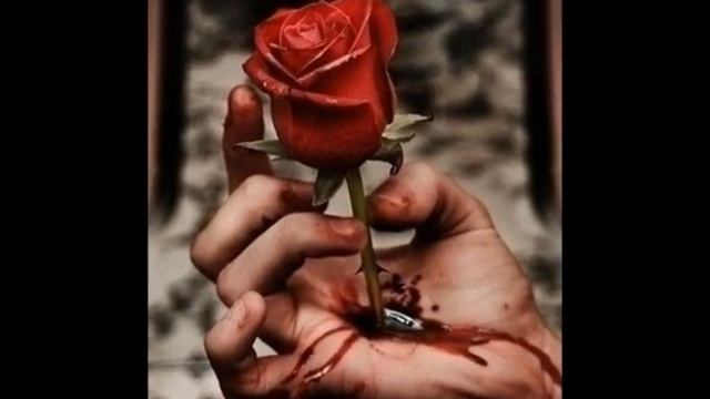 جمل رائعه وصور اروع  •● ♥ ●•  من تصميمي Kashit