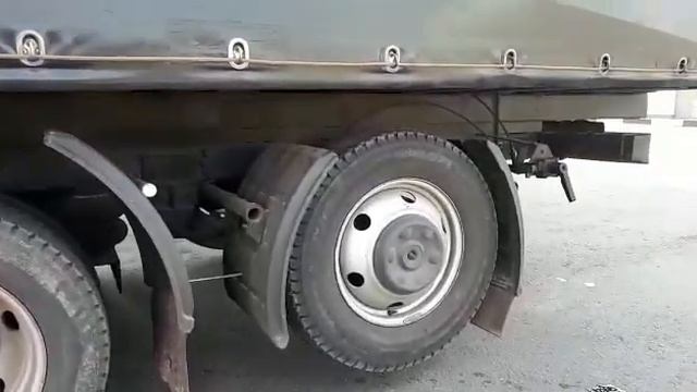 Газель трехосная