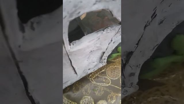 концепт кар из пластилина и гелик смотреть онлайн