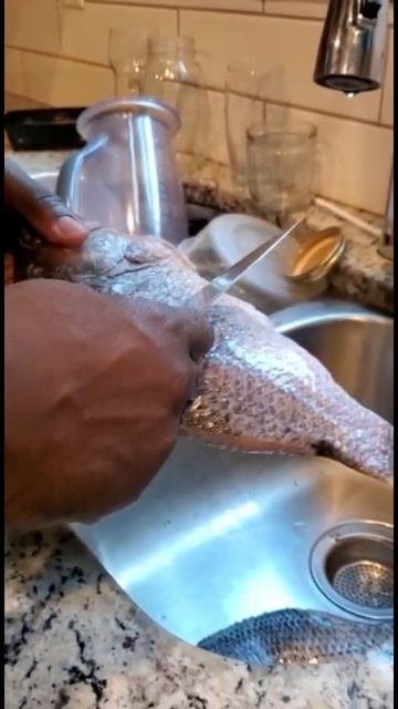 🇺🇸👨🍳Tilapia Time🐠Grill🔥& Veggies🥗 —- #shorts смотреть онлайн