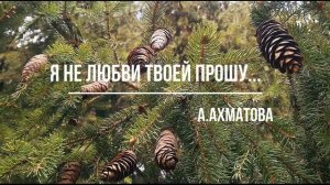 А Ахматова  Я не любви твоей прошу #стихиолюбви #поэтыCеребряноговека