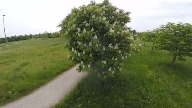 Parco ferrari dji f450 flight, low res смотреть онлайн