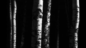 М Цветаева  Сопернице #стихиобизмене #стихиолюбви #поэтыCеребряноговека