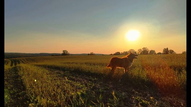 Н  Рубцов  Сентябрь #стихиобосени #поэты20века