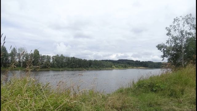 Игорь Северянин  Любовь  - беспричинность #стихиолюбви #философскаялирика  #поэтыCеребряноговека