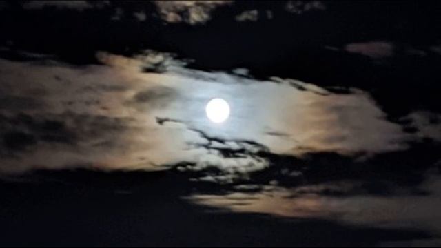 Мирра Лохвицкая   Sonnambula #стихиомечтах #поэтысеребряноговека