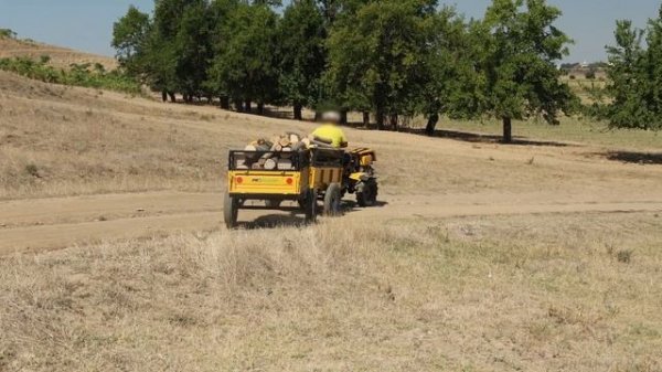 ProGARDEN 4x4 Diesel. Campo 1273 cu RM550T, Alpine remorcă cu transmisie prin cardan si diferenția