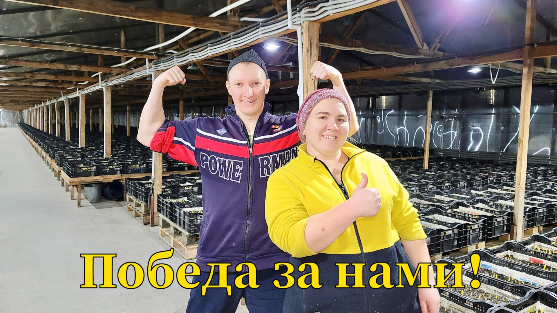 Начало сезона | Выносим тюльпан | Вспоминаем сколько работы было сделано осенью | Привезли тюльпан смотреть онлайн