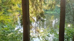 Лeна LIFE \ Лена и Ваня LIFE \ ПОЗОРИЩЕ!!! Что она НЕСЁТ?! \ Обзор влогов