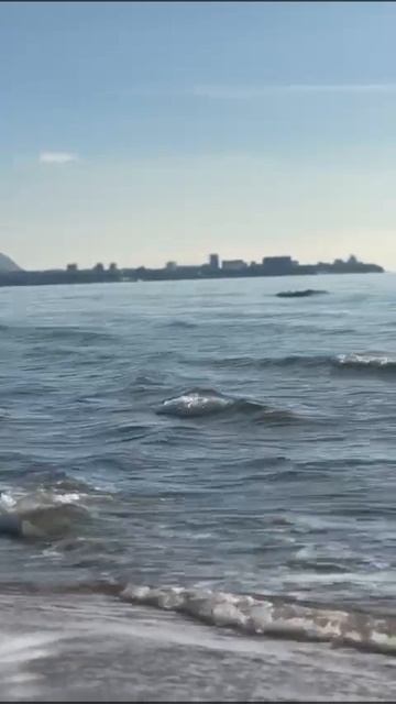 20.01.2025 Состояние пляжа 