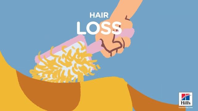 Hill’s HOW-TOs: How to Spot Dog Skin Conditions смотреть онлайн