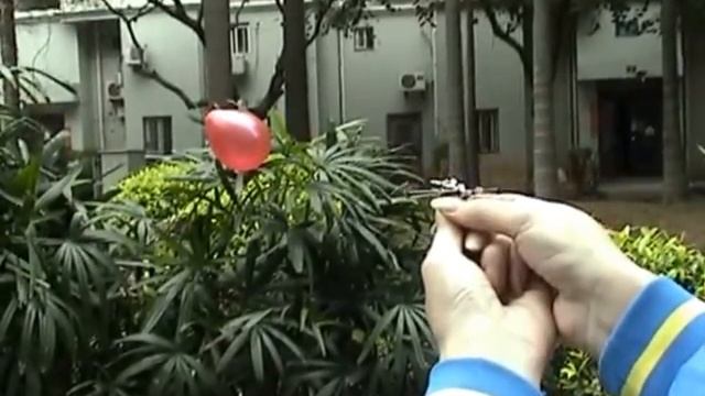 Mini Crossbow 5.9 LB Draw Force Made by Full Stainless Steel Shooting Targets смотреть онлайн