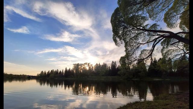 Мирра Лохвицкая  Есть радости   они как лавр цветут #философскаялирика #поэтысеребряноговека