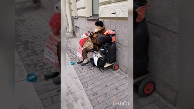 На выходных съездили в центр Петербурга, а через Морской порт домой на закате... смотреть онлайн