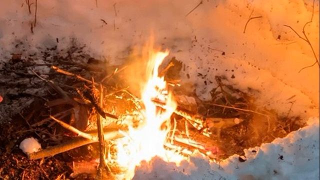 И Северянин  Они сражаются в полях    1914 г #поэзияСеребряноговека #стихиовойне