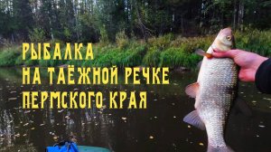 ПО ТАЁЖНОЙ РЕЧКЕ СЕВЕРА ПЕРМСКОГО КРАЯ. РЫБАЛКА НА СПИННИНГ #рыбалка #тайга #лес