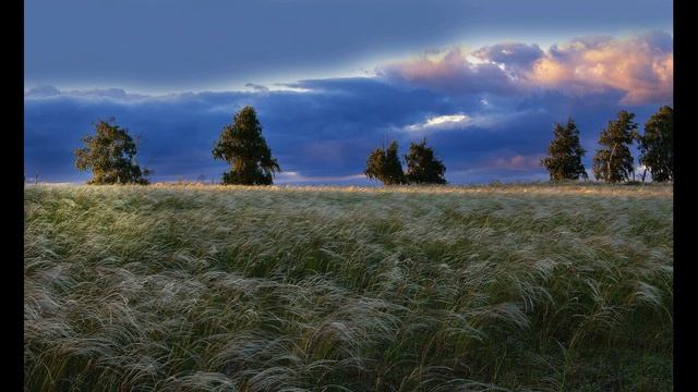 С  Есенин  Спит ковыль  Равнина дорогая #стихиородине #поэтысеребряноговека