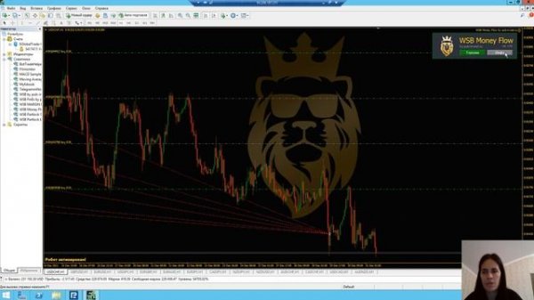 Инструктаж робот WSB Money Flow