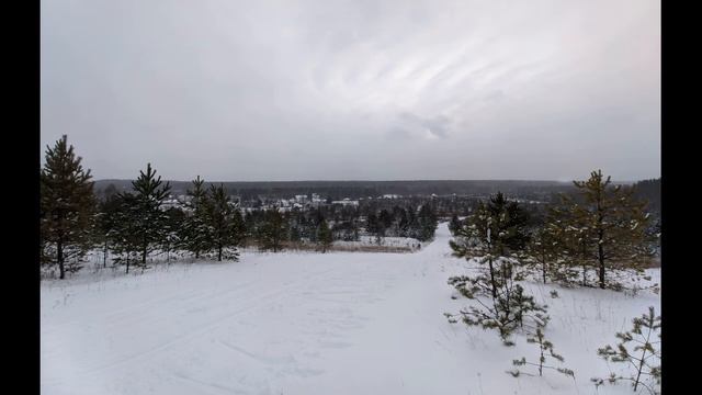 М Лермонтов  Смерть поэта #гражданскаялирика #поэты19века#стихиоПушкине