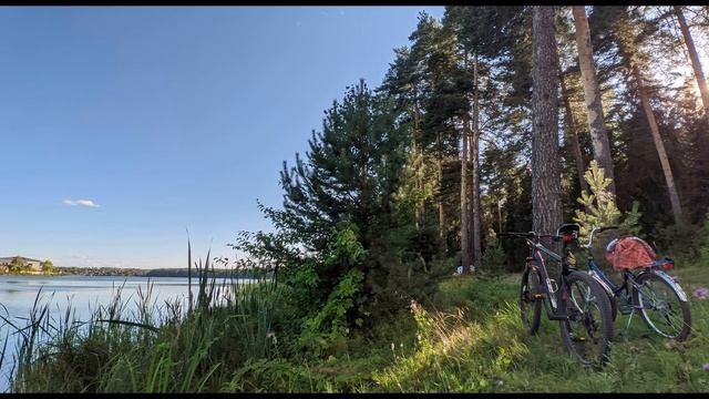 А Вознесенский  Велосипеды #стихиолюбви  #поэты20века