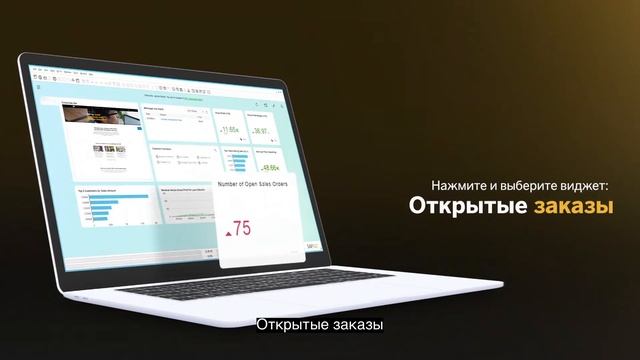 SAP Business One. Часть 2: персонализированные графические панели смотреть онлайн