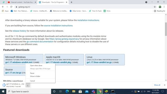 Install Golang 1.17 amd on Windows 10 смотреть онлайн