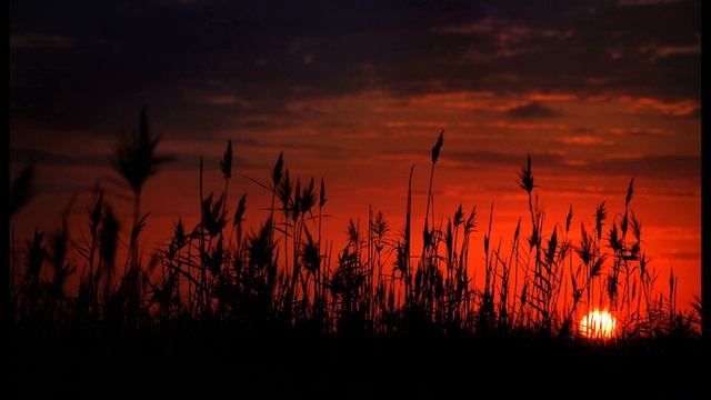 В  Брюсов  Грядущие гунны #философскаялирика #поэтысеребряноговека