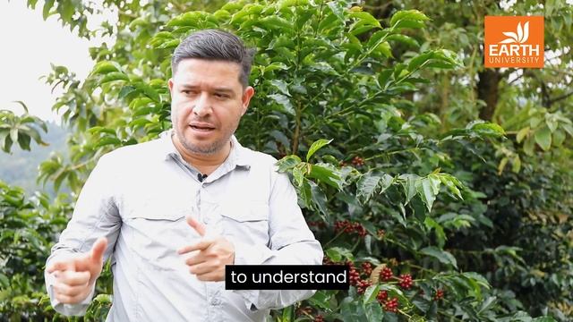 Cosechando café de calidad | Centro de Agricultura de Precisión смотреть онлайн