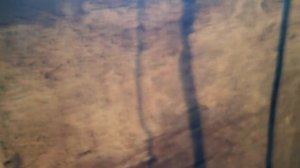 Дом из опилкобетона своими руками - отзыв