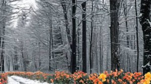 Жизненные истории "Только тебе я доверила свои чувства" Истории из жизни / Рассказы / Слушать аудио