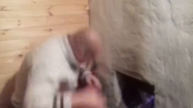 Топлю баньку))) смотреть онлайн