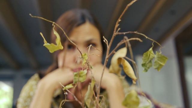 hûs+ flower - Magic for your plants! смотреть онлайн