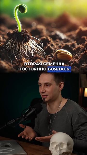 Ты семечко? Или птица? #мышление смотреть онлайн