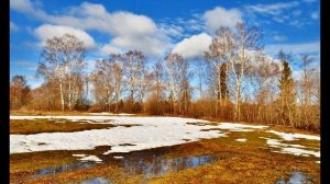 А  Блок  На лугу #стихиовесне #поэтысеребряноговека