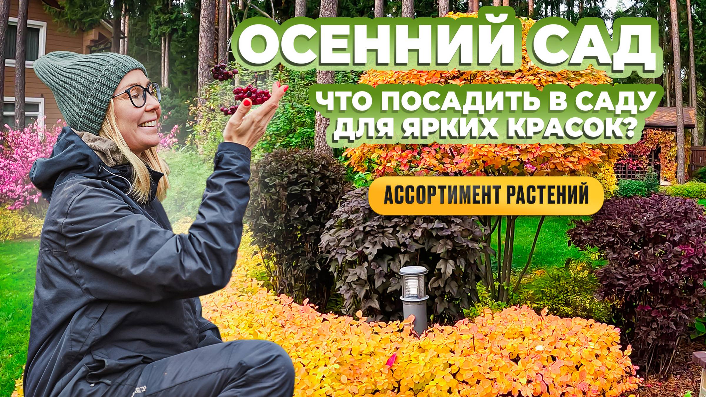 Осенний сад. Что посадить в саду для ярких красок? Ассортимент растений