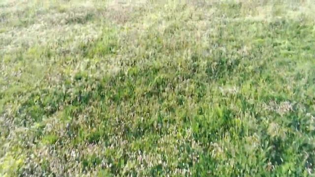 S.Giuliano Venice - Fimi X8 mini смотреть онлайн