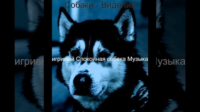 Настроения (Милые Собаки) смотреть онлайн